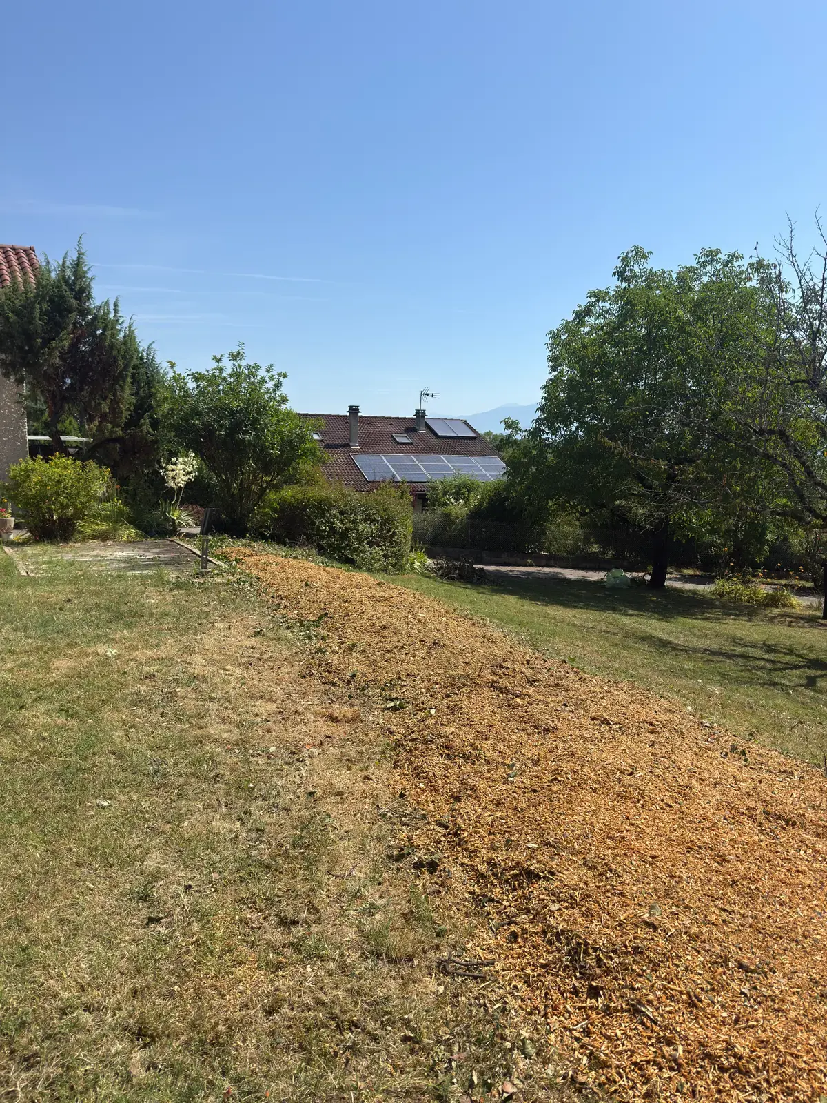 Terrain nettoyé et débroussaillé au pied des montagnes