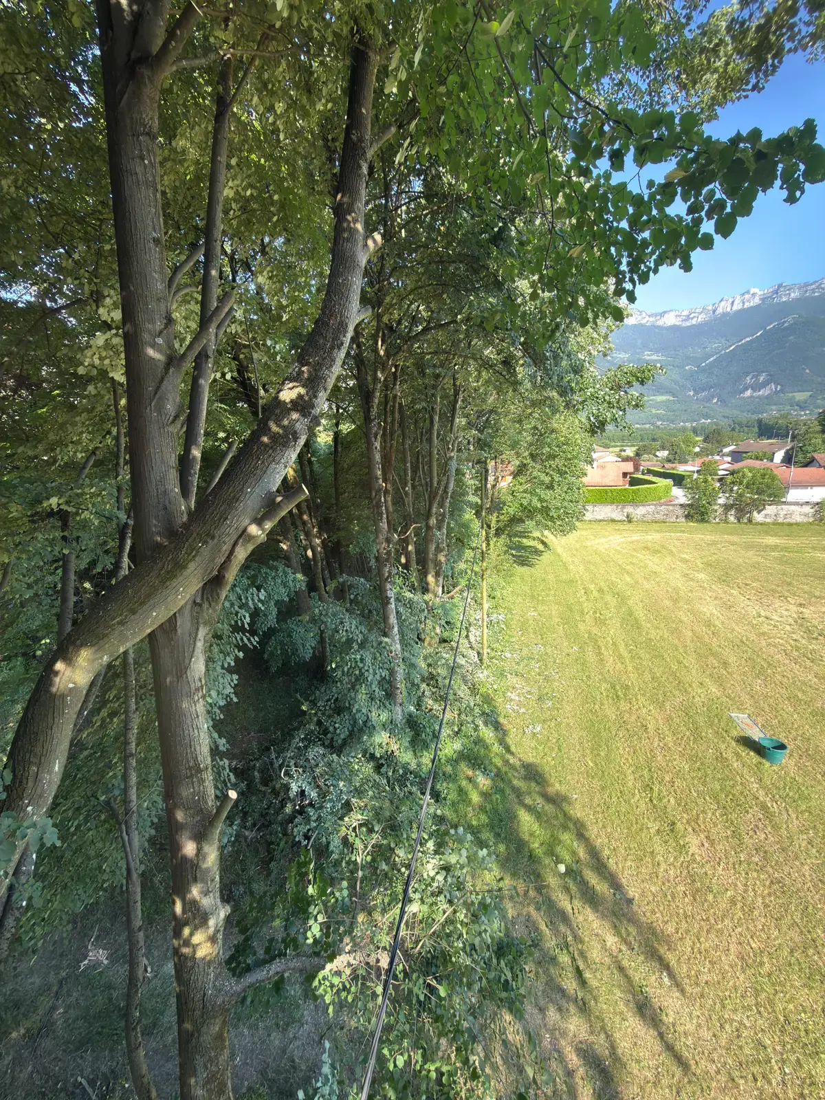 Élagueur en train de tailler un arbre depuis les branches
